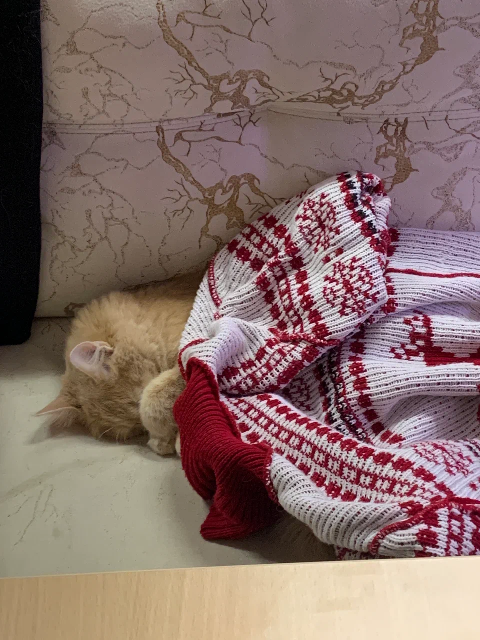 Sleeping under sweater